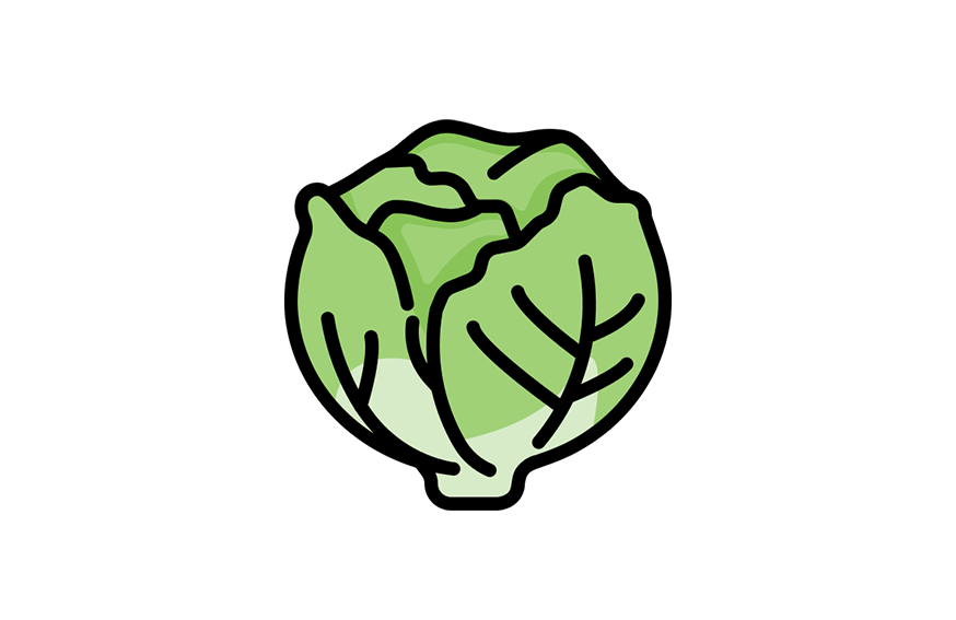 Legume